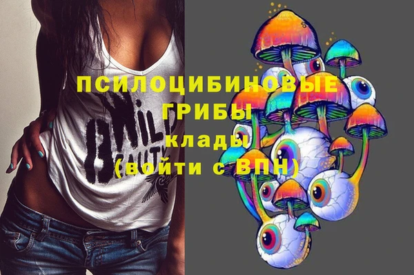 СК Липки