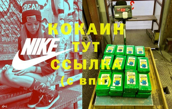 СК Липки