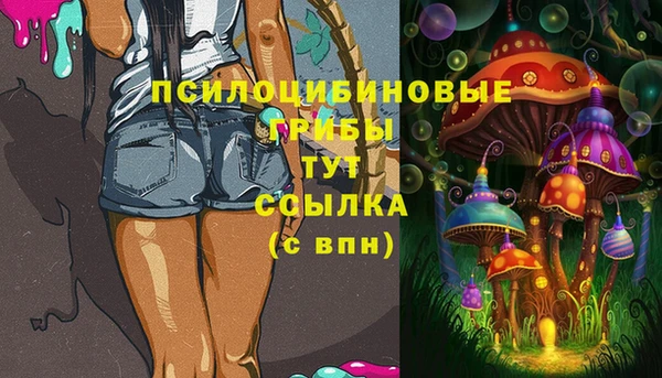 СК Липки